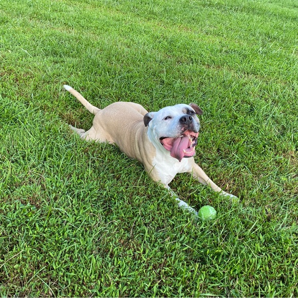 Meet your Posher, Maegan - Picture 6 of 16